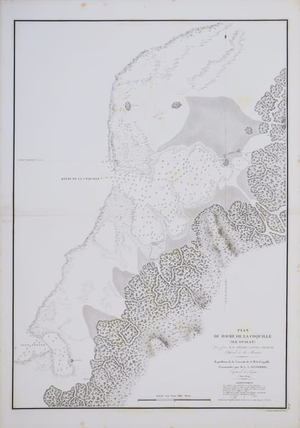 [MICRON&Eacute;SIE] Plan du havre de la Coquille (&icirc;le Oualan).. DUPERREY (Louis-Isidore).