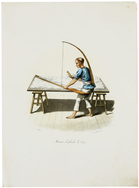  Mani&egrave;re d'&eacute;plucher le coton.. MALPI&Egrave;RE (D. Bazin de).