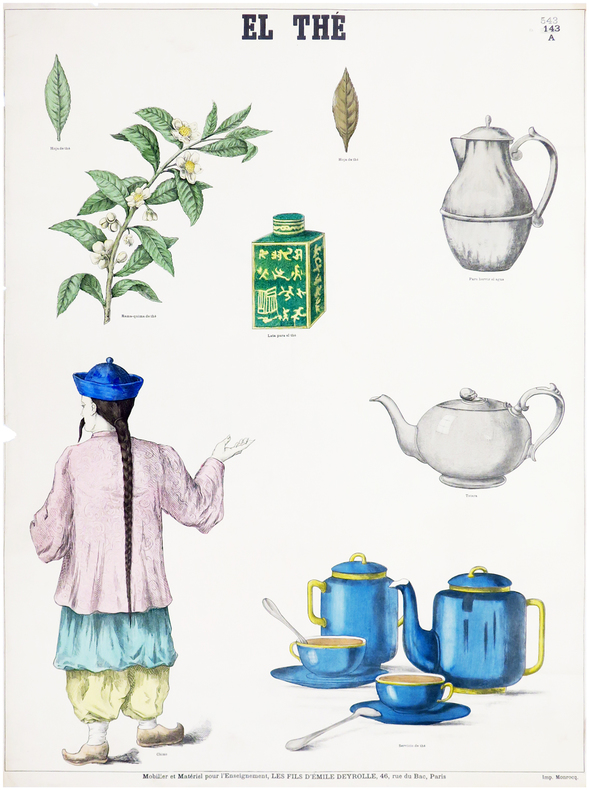  El thé [Le thé].. DEYROLLE (Émile).