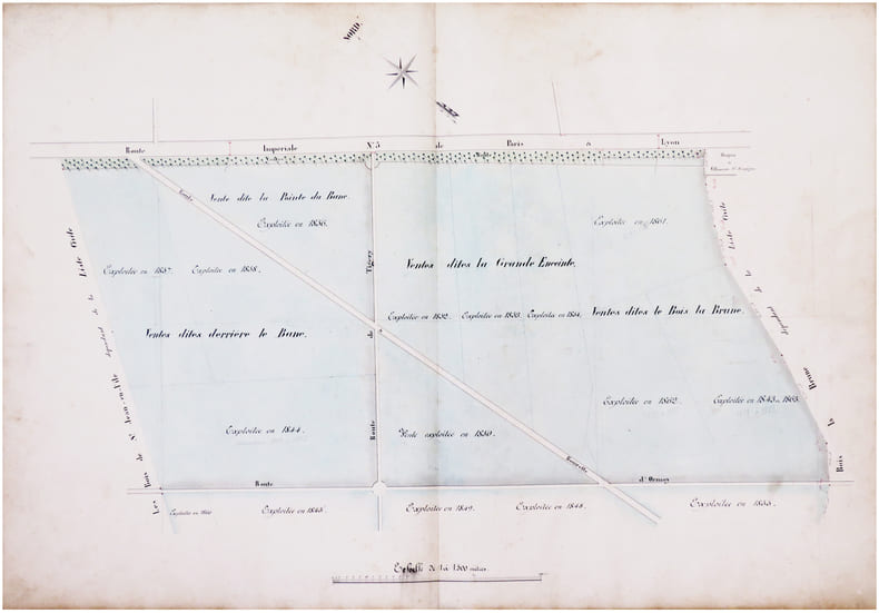  Plan g&eacute;om&eacute;trique (en deux feuilles) des bois d&eacute;pendants du domaine de Tigery appartenants &agrave; Madame de Clermont-Tonnerre. Dress&eacute; par J.E. Barth&eacute;lemy, ...