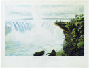 The Falls of Niagara. This view of Table Rock & Horse-Shoe-Fall, is by special permission, dedicated to His Most Excellent Majesty William the ...