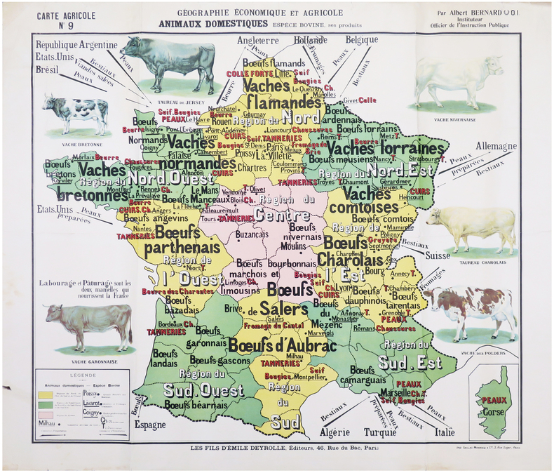  Carte agricole n°9. Géographie économique et agricole. Animaux domestiques. Espèce bovine, ses produits.. DEYROLLE (Émile) & BERNARD (Albert).