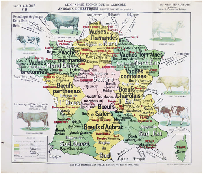  Carte agricole n&deg;9. G&eacute;ographie &eacute;conomique et agricole. Animaux domestiques. Esp&egrave;ce bovine, ses produits.. DEYROLLE (&Eacute;mile) & BERNARD (Albert).