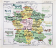  Carte agricole n°9. Géographie économique et agricole. Animaux domestiques. Espèce bovine, ses produits.. DEYROLLE (Émile) & BERNARD (Albert).