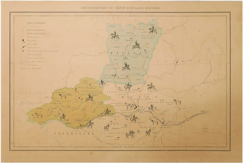  [ANGERS/HARAS] Circonscription du d&eacute;p&ocirc;t d'&eacute;talons d'Angers.. GAYOT (Eug&egrave;ne).