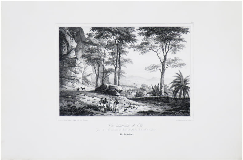  [&Icirc;LE de LA R&Eacute;UNION] Vue int&eacute;rieure de l'&icirc;le, prise dans les environs du Jardin des plantes de la ville de S.t Denis. (&Icirc;le Bourbon).. BOUGAINVILLE ...