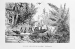 Voyages et aventures dans l'Afrique équatoriale. Mœurs et coutumes des habitants; chasses au gorille, au crocodile, au léopard, à l'éléphant, à ...