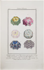 Costumes parisiens. Planche n°9. Ombrelles nouvelles. 1. En soie kaki et cretonne imprimée pékin. 2. En crêpe de Chine peint à la main. 3. Ombrelle de jeune fille en taffetas rose. 4. En mousseline imprimée fond blanc. 5. En mousseline à fleurs nouvelles. 6. En cretonne imprimée à carreaux et fleurs.