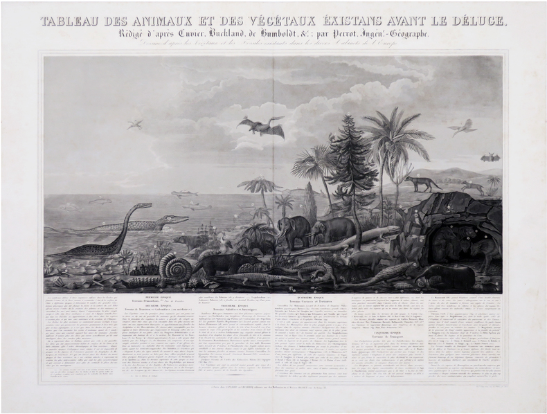  Tableau des animaux et des végétaux existans avant le Déluge, rédigé d'après Cuvier, Buckland, de Humboldt, &.c ; par Perrot, Ingén.r-Géographe. ...