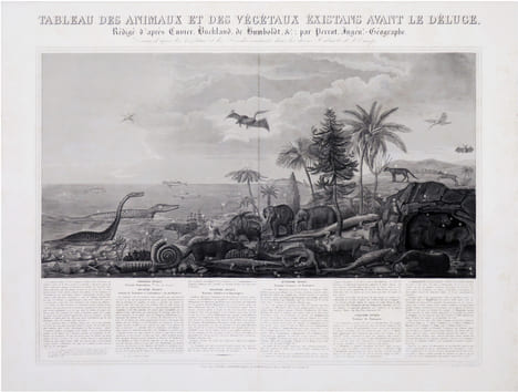 Tableau des animaux et des végétaux existans avant le Déluge, rédigé d'après Cuvier, Buckland, de Humboldt, &.c ; par Perrot, Ingén.r-Géographe. ...