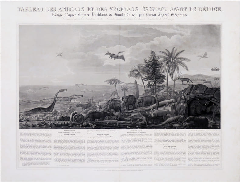  Tableau des animaux et des v&eacute;g&eacute;taux existans avant le D&eacute;luge, r&eacute;dig&eacute; d'apr&egrave;s Cuvier, Buckland, de Humboldt, &.c ; par Perrot, Ing&eacute;n.r-G&eacute;ographe. ...