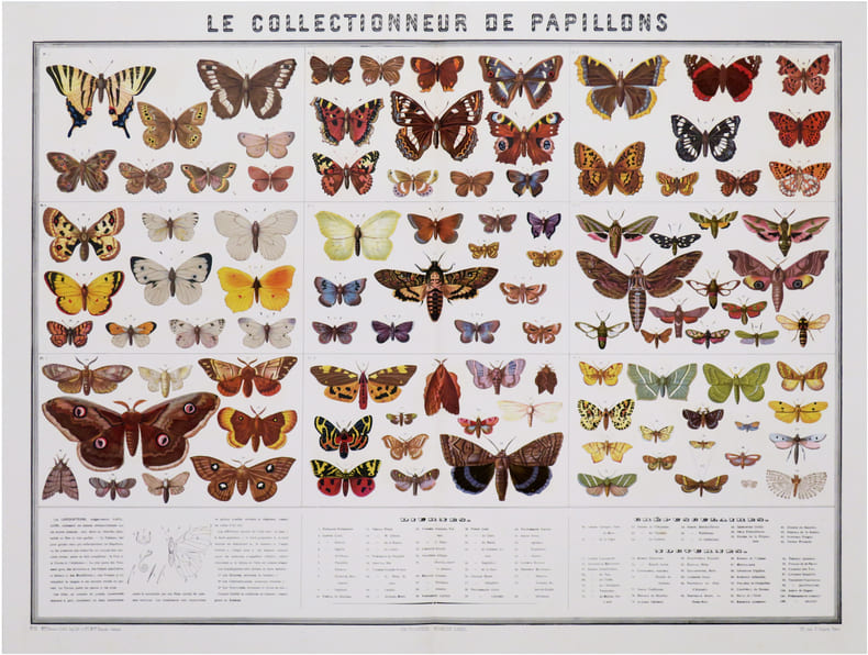  [PAPILLONS] Le Collectionneur de papillons. Encyclop&eacute;die Bouasse-Lebel.. BOUASSE-LEBEL.