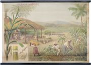 Image de livre