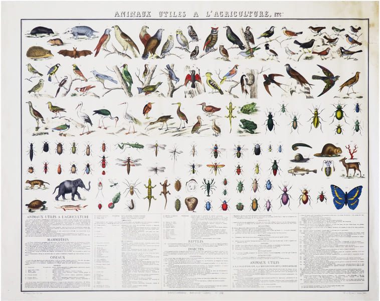  Animaux utiles &agrave; l'agriculture, etc. Encyclop&eacute;die Bouasse-Lebel n&deg;152.. BOUASSE-LEBEL.