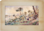  Vue d'Arcachon. Prise de "Belle Vue".. LEWIS (John Hardwicke).