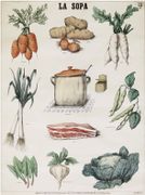  La Sopa [La Soupe]. par DEYROLLE (Émile).