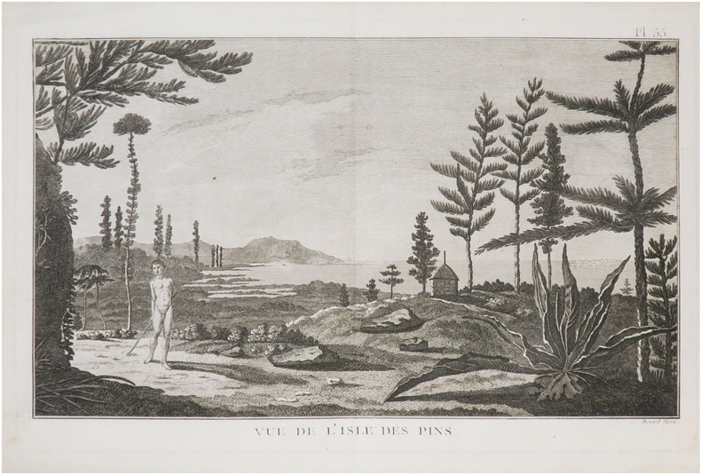  [NOUVELLE-CALÉDONIE] Vue de l'isle des Pins.. COOK (James).