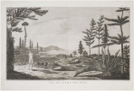  [NOUVELLE-CALÉDONIE] Vue de l'isle des Pins.. COOK (James).