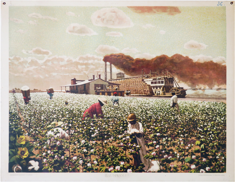  [CULTURE du COTON] Baumwolle.. GOERING (Theodor) & SCHMIDT (Emil).