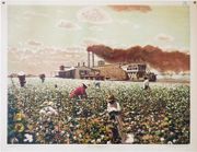  [CULTURE du COTON] Baumwolle. par GOERING (Theodor) & SCHMIDT (Emil).