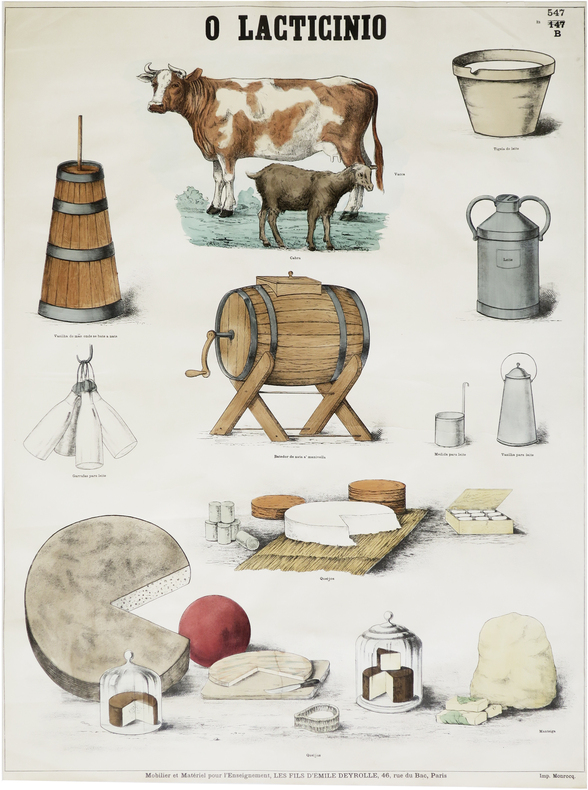  O lacticinio [Le lait].. DEYROLLE (Émile).
