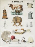  O lacticinio [Le lait]. par DEYROLLE (Émile).