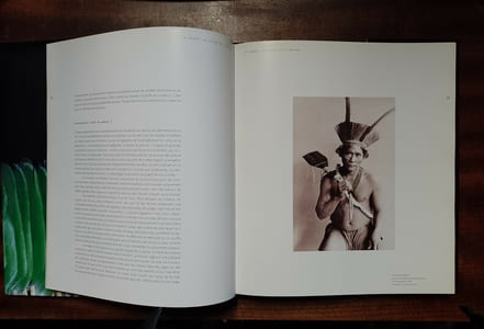 L'art de la plume en Amazonie