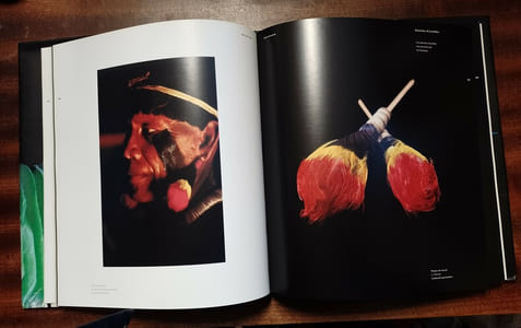 L'art de la plume en Amazonie