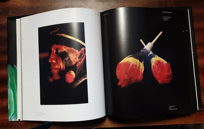 L'art de la plume en Amazonie