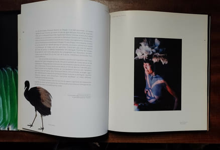 L'art de la plume en Amazonie