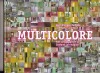 Multicolore. Pôle santé Sarthe et Loir / Sarthe et Loir Hospital. Jean-Philippe PARGADE / Luciana RAVANEL