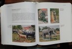 Le gazouillis des &eacute;l&eacute;phants. MONTPIED Bruno