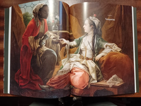 Le harem des Lumières. L'image de la femme dans la peinture orientaliste du XVIIIe siècle. PEYRAUBE Emmanuelle