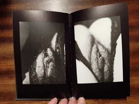 Cent photographies choisies dans la série "Deux mille photographies du sexe d'une femme". MACCHERONI Henri