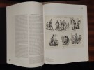 Gustave dor&eacute; - L'Imagination au pouvoir. [DORE Gustave] KAENEL Philippe & al.