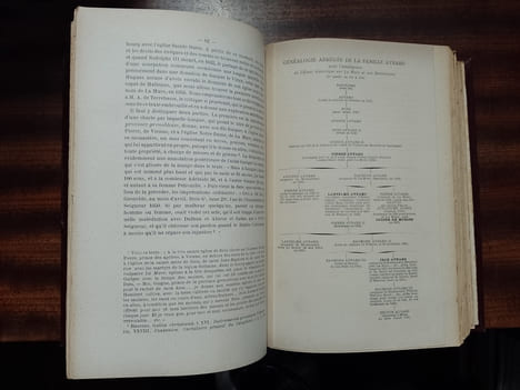 Essai historique sur La Mure et son mandement, - Depuis les origines jusqu'en 1626. DUSSERT A.