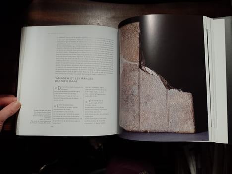 De Sumer à Canaan. L'Orient ancien et la Bible . CLUZAN Sophie