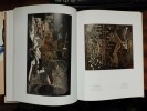 le geste et la matière. Une abstraction "autre" - Paris, 1945-1965. BRIEND Christian, ERNOULT Nathalie & al.