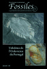 Trilobites de l’Ordovicien du Portugal. Pierre-Marie Guy