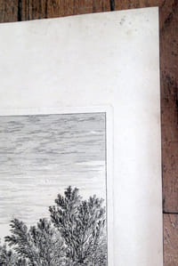 [Estampe]. Veüe du Chasteau de Blois. Conspectus Regia Blesensis. [Gravure à l'eau-forte].