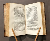 De la santé des gens de lettres.