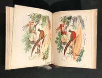 Nouveaux Modèles de Coloris pouvant être exécutés avec des crayons de couleur, ou des crayons pastels. 