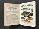 Die Fische des Meeres und der Binnengewässer. . PLEHN (Dr Marianne)