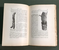 Les Maladies de la Vigne. Troisième édition entièrement refondue...