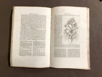 Monographie des renonculacées.