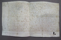 Vente de biens à Montbeugny (Allier). Pièce manuscrite à l'encre beige sur parchemin.