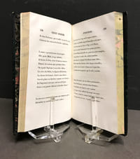 [RAFFET]. Napoléon en Égypte. Waterloo et le Fils de l'Homme. 