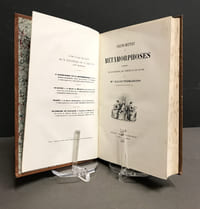 Phénomènes et métamorphoses. Causeries sur les papillons, les insectes et les polypes.