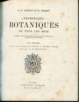 Promenades botaniques de tous les mois. 100 dessins de MM. Clair Guyot, Ch. Gosselin, L. Mouchot, Sellier. Gravure de F. Méaulle. LABESSE (E.-D.) et ...