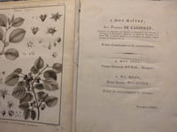 Histoire naturelle, médicale et économique des SOLANUM, et des genres qui ont été confondus avec eux